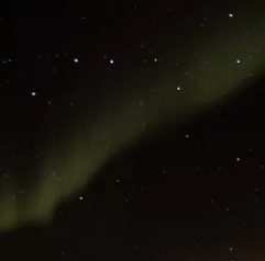 aurora fossil-hunting