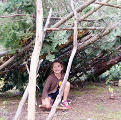 wilderness-survival fossil-hunting