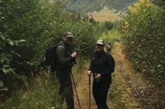 Hiking