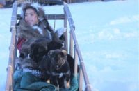 Dog Mushing