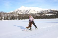 Kicksled