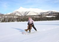Kicksled