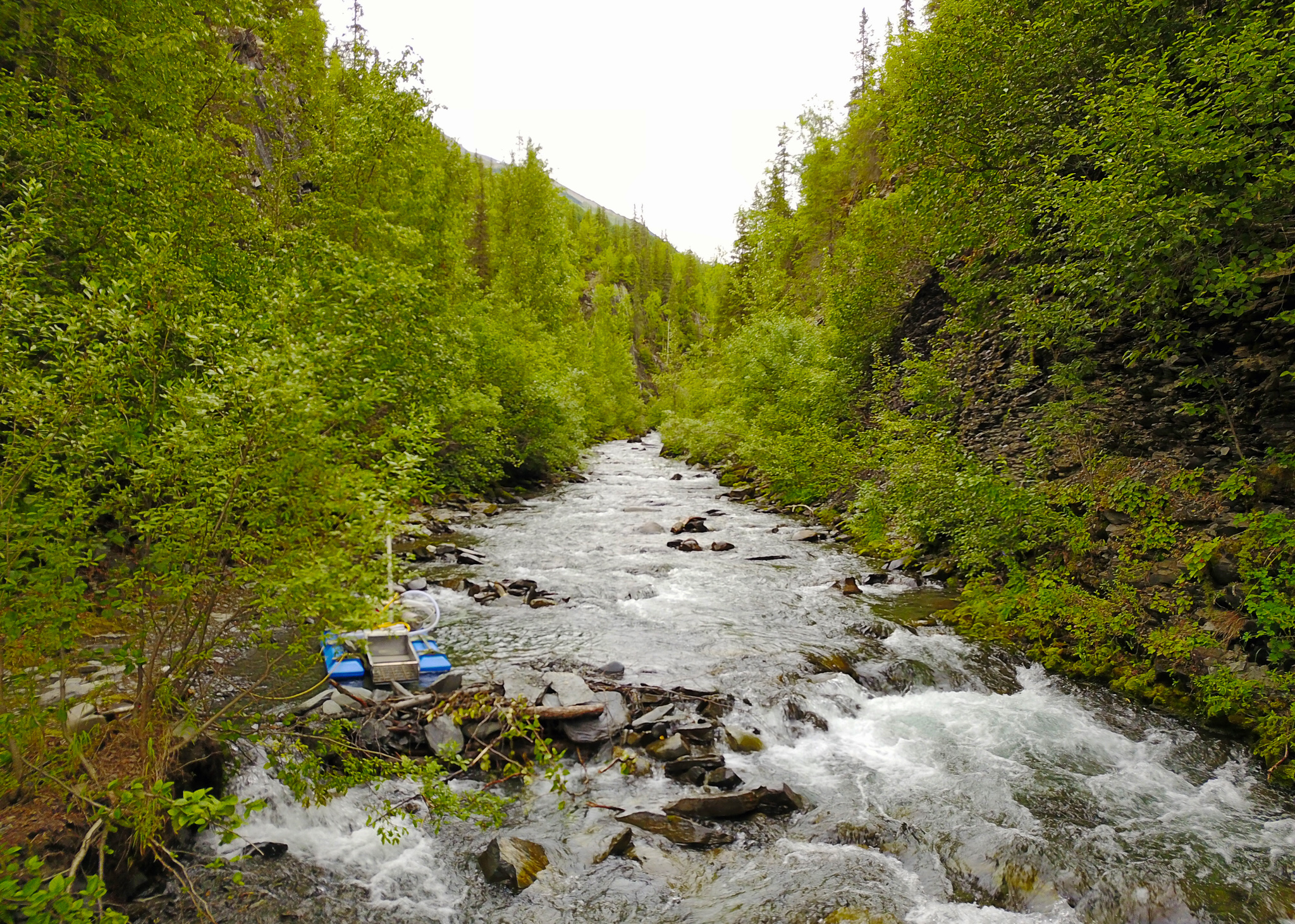 Gold Panning
