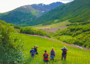 Silvertip Hike