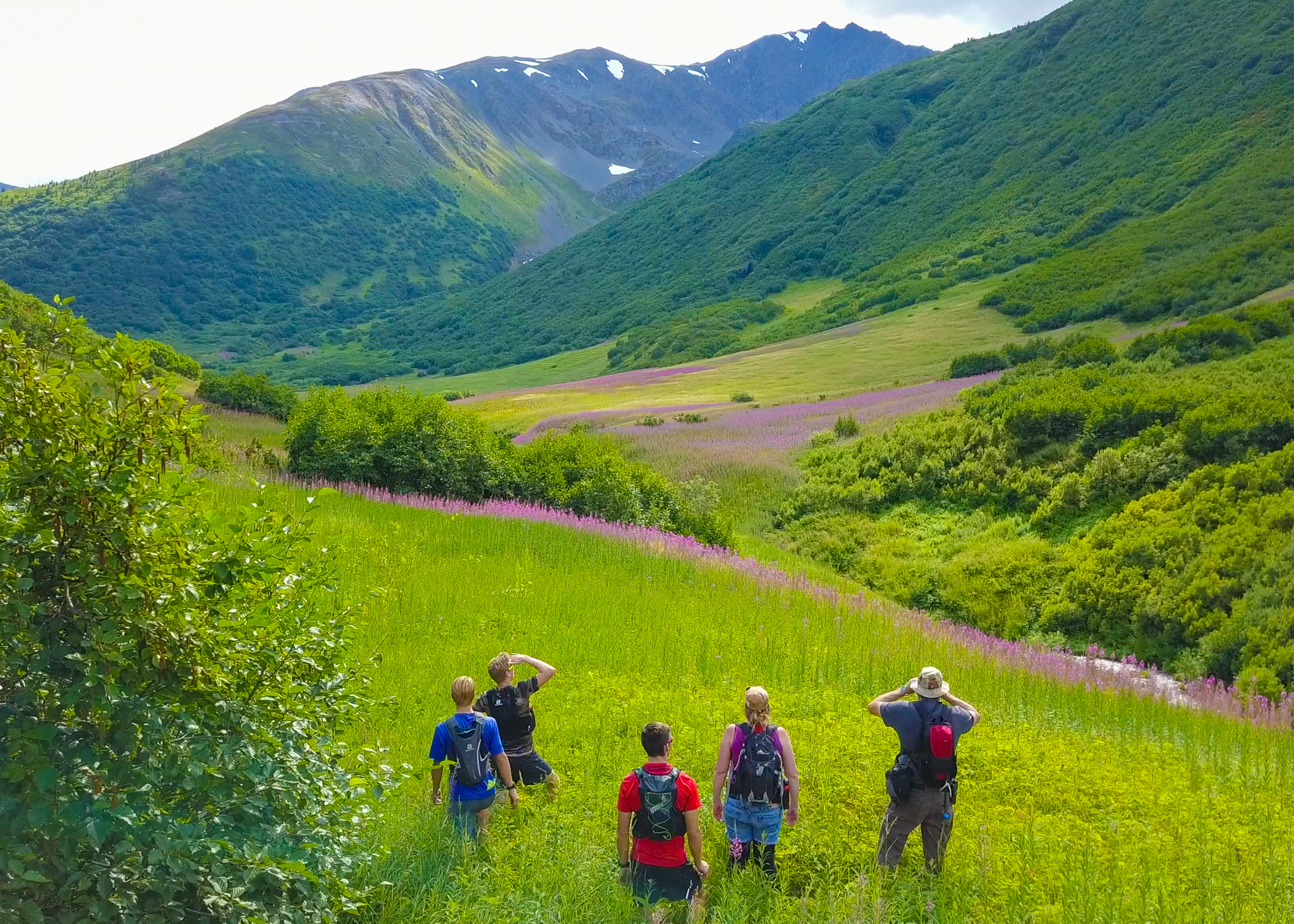 Hiking