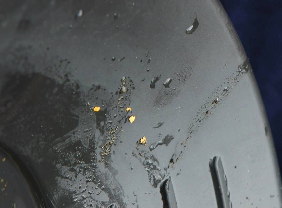 Gold Panning