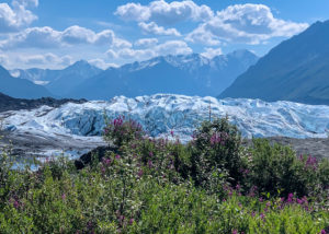 Matanuska Glacier IMG_7751 Glacier