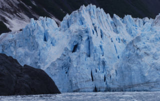 Glacier Cruise