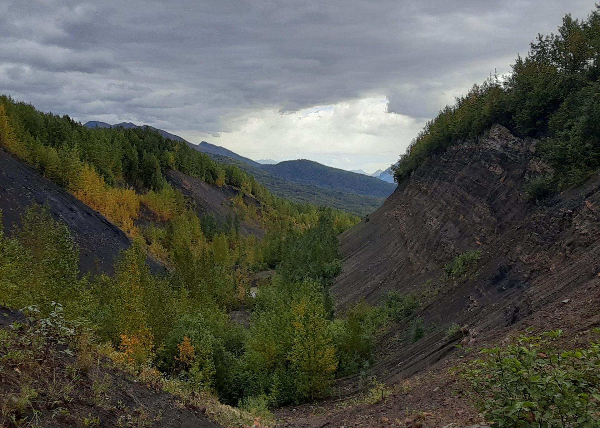 Fossil Valley