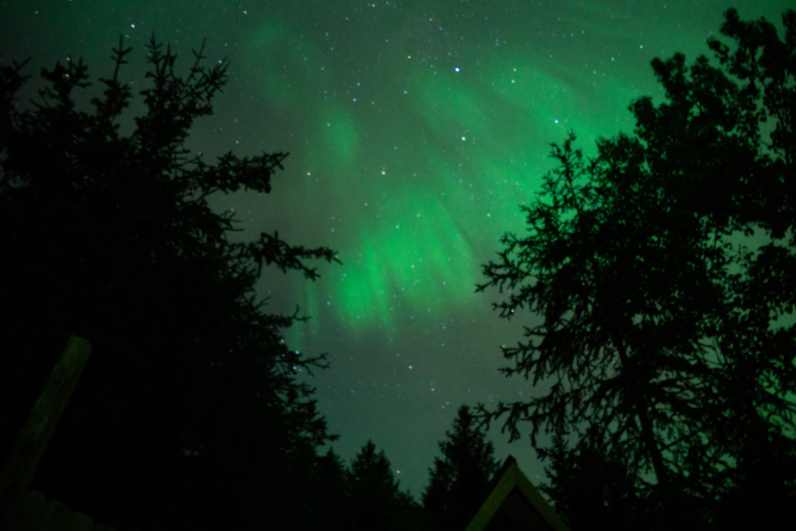 Northern Lights