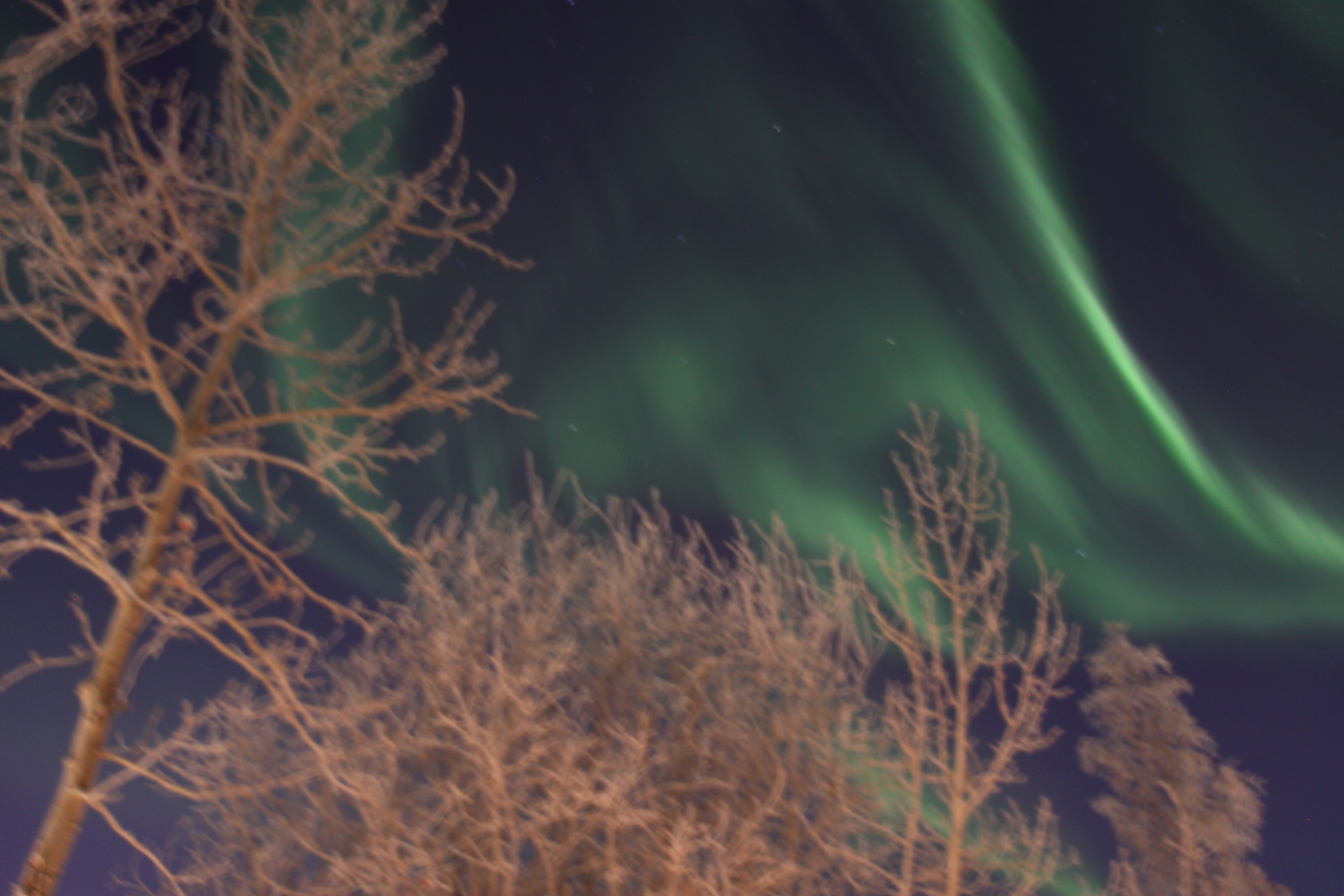 Northern Lights