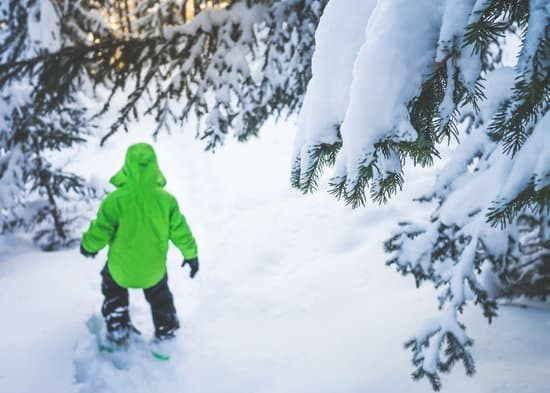 Snowshoeing