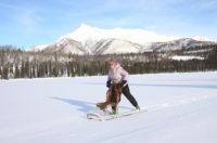 Kicksledding