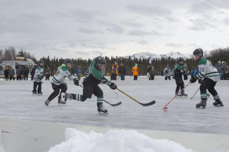 Pond Hockey 2 animal-tracks