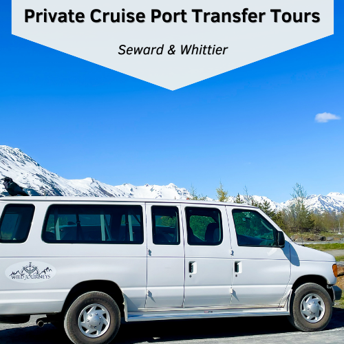 Private Cruise Transfers