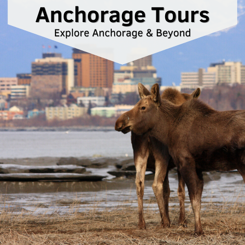 Anchorage and Beyond Full Day