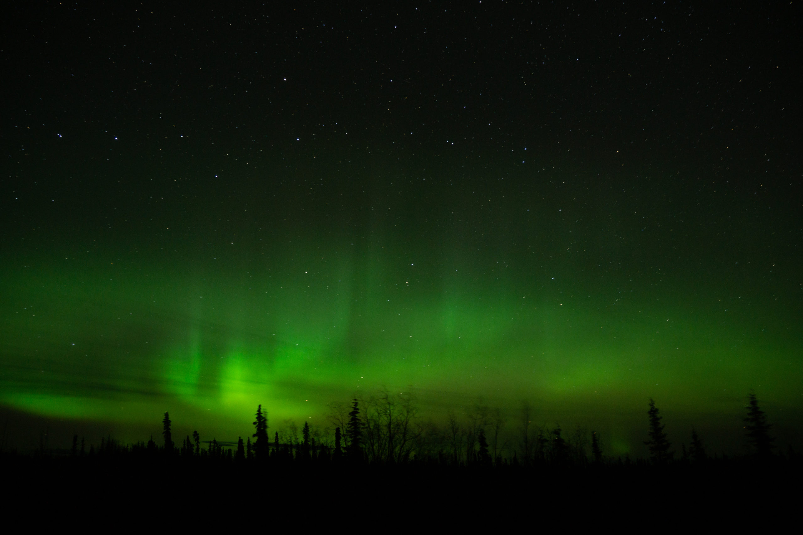 Anchorage Northern Lights