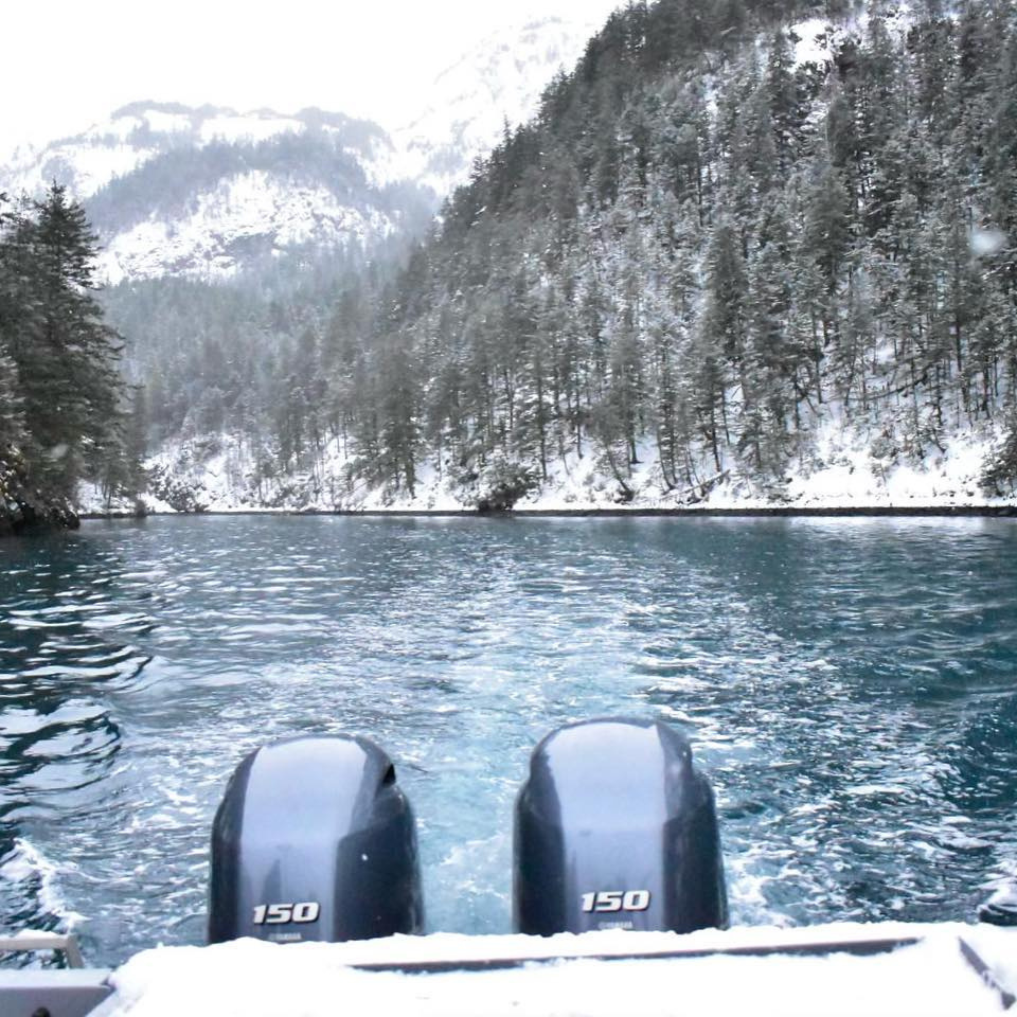 Winter Seward Cruise #3