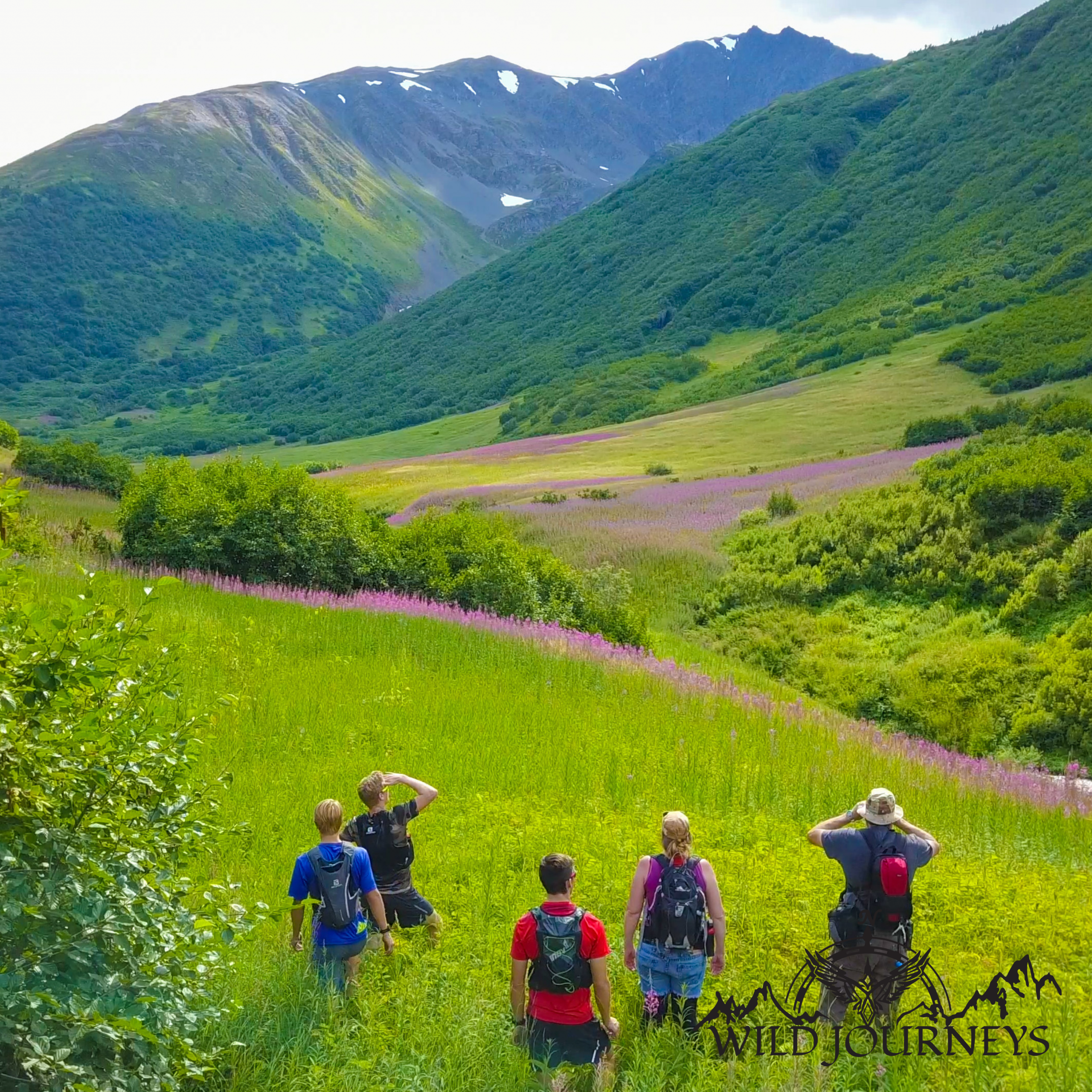 Wild Journeys 18-Jun-25