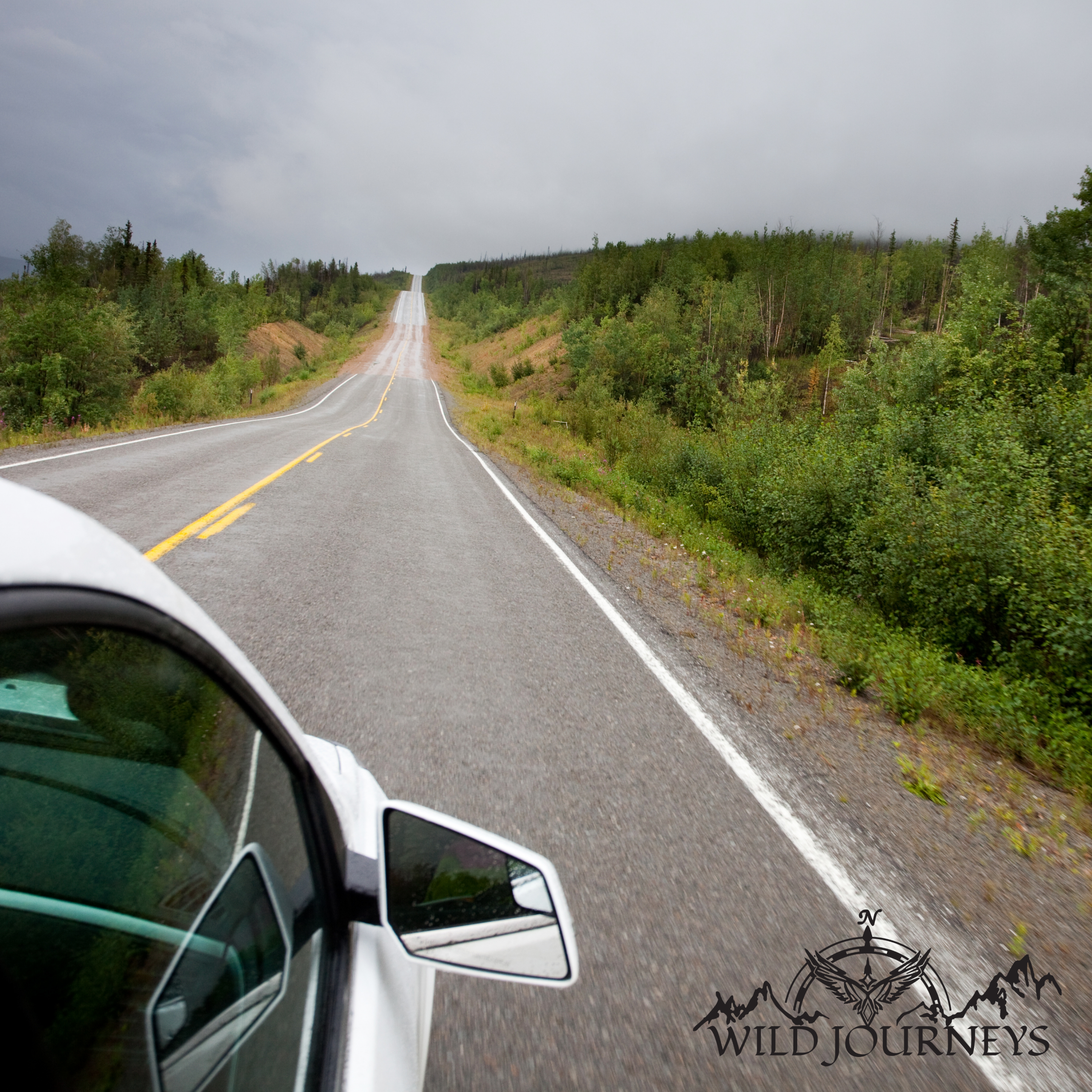 Wild Journeys 7-May-25